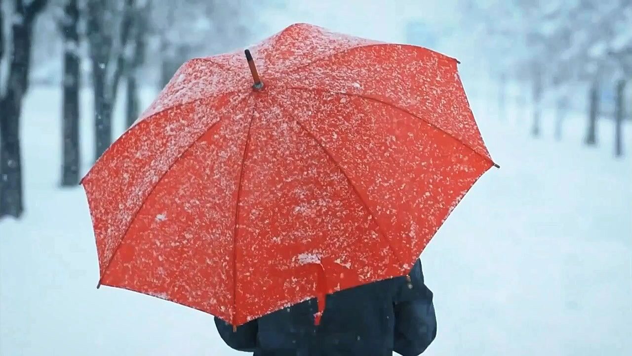 雨伞雪景唯美背影