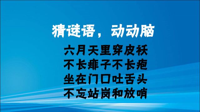 六月天里穿皮袄,不长痱子不长疱,猜谜语,动动脑