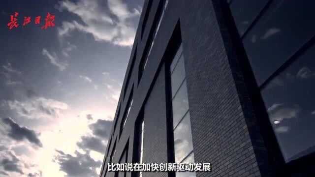 云端会客厅|省政协委员做客,畅聊湖北上市公司发展与数字化农业