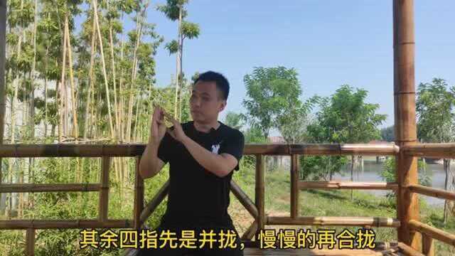 道家养生四宝完整版:每天5分钟,坚持练习,强本固肾,益寿延年