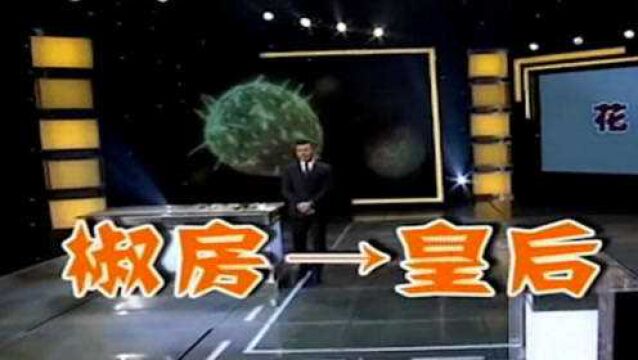 花椒除了当佐料,还被古人做成“椒房”,竟还是皇后的代名词!