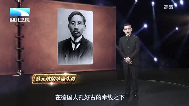 古史奇谈:蔡元培因文凭与柏林大学擦肩而过,贵人相助让其与歌德成为校友