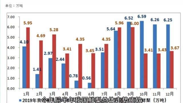 2020年中国鲜梨出口概况,1012月份出口量较往年锐减!