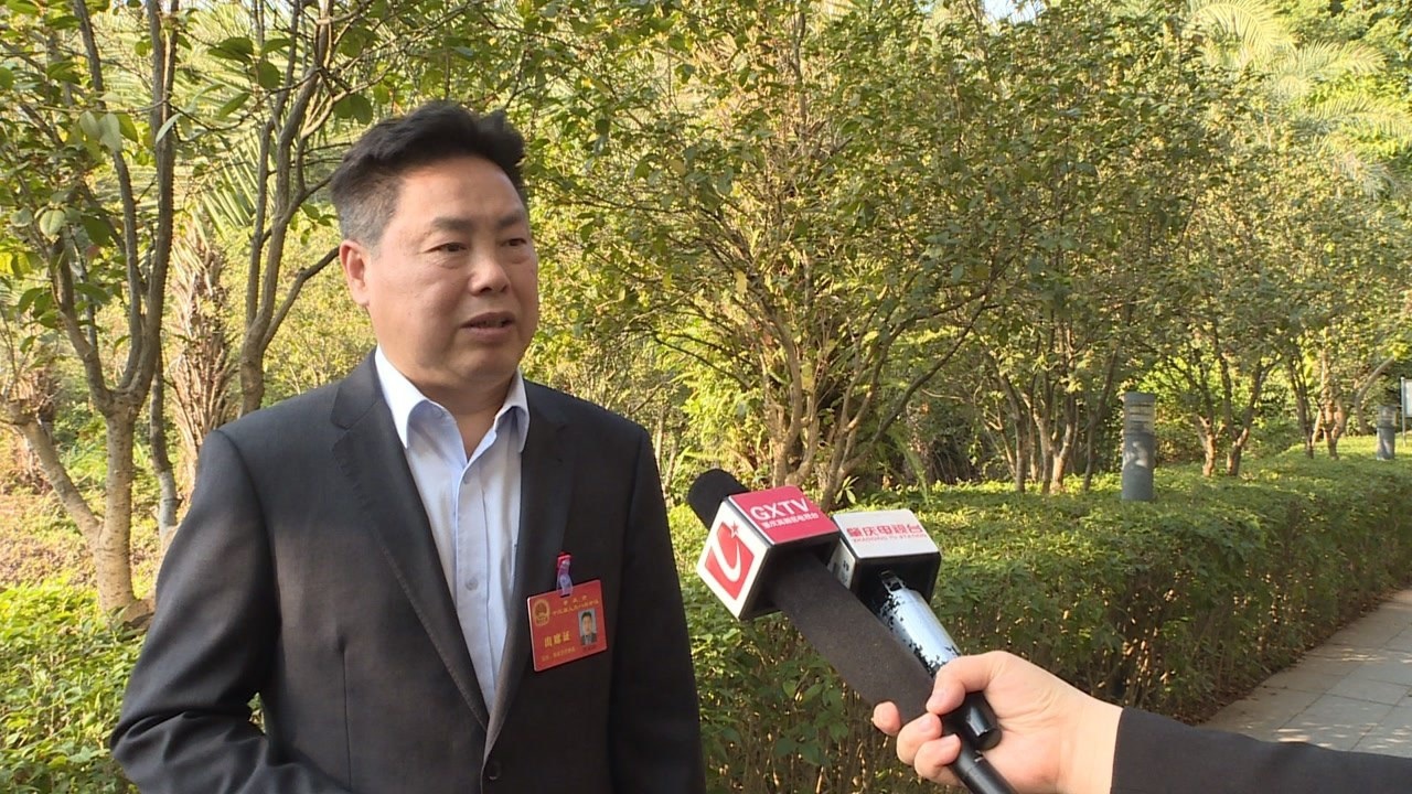 肇庆市政府副市长 肇庆高新区党工委书记 陈家添(3)_腾讯视频