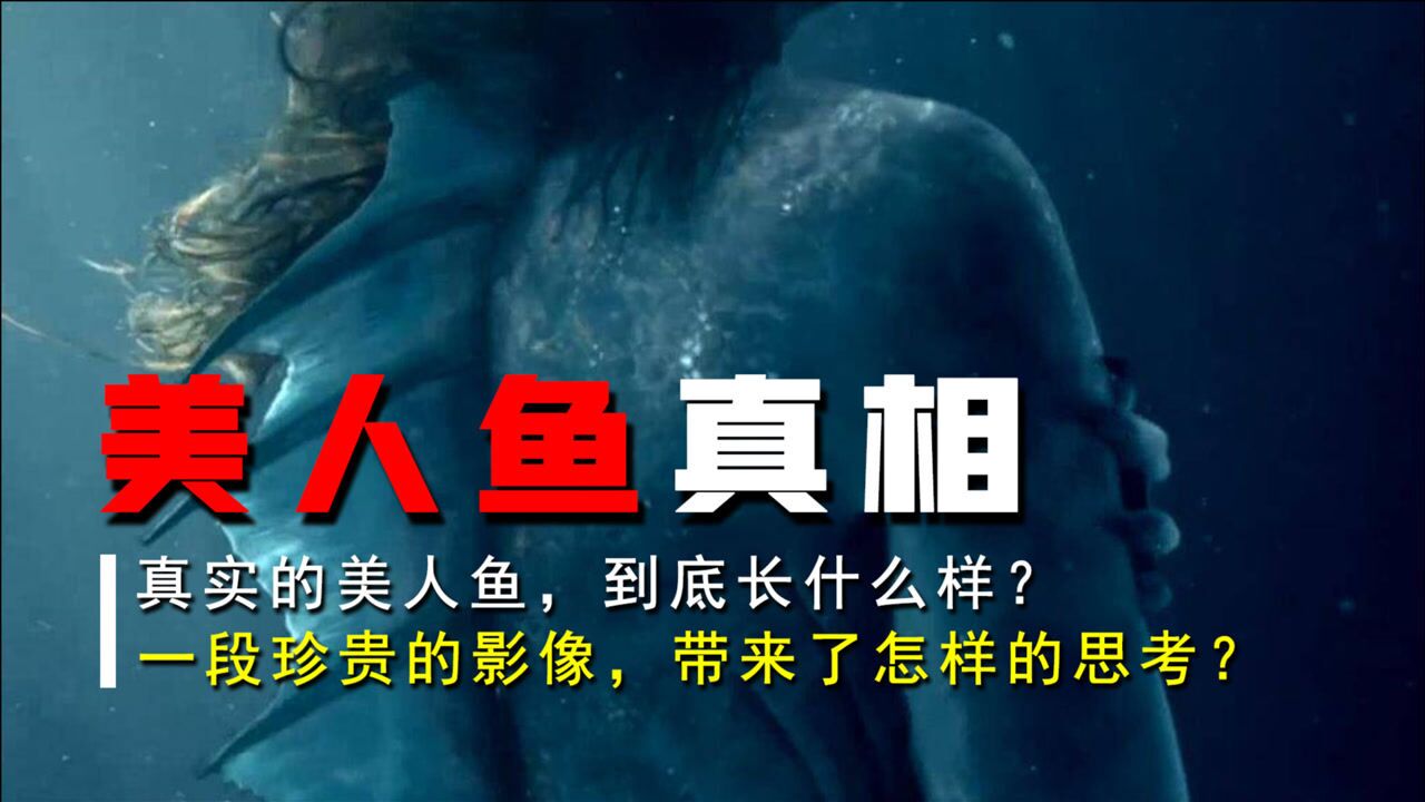 真實的美人魚長什麼樣珍貴的視頻資料能否證明它的存在