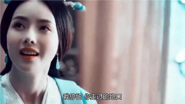 惊艳的歌曲《夏风》,当凄凉旋律响起,场面太震撼