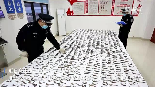 浙江舟山警方缴获野生海马干3470余尾,国家二级保护动物不得捕卖!