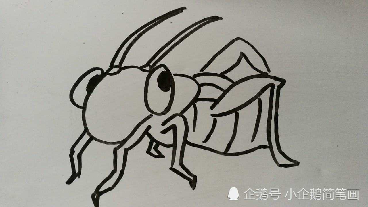 蝈蝈怎么画简笔画图片