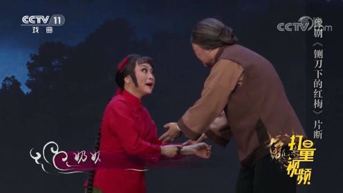 王红丽、王素珍演绎豫剧《铡刀下的红梅》，上演看家戏