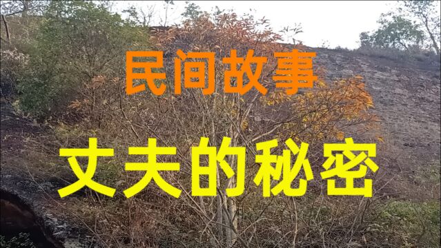 民间故事《丈夫的秘密》从一开始通电话开始,杨子的世界就坍塌了