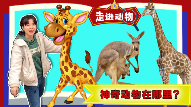 苏菲亚来了：探奇妙知识 1集