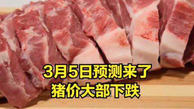 明日预测来了!猪价大部下跌,低价区扛价激增,猪价又要涨?