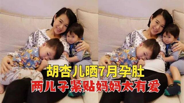 胡杏儿晒孕肚图!七月孕肚超明显,两儿子紧贴妈妈,画面超有爱!