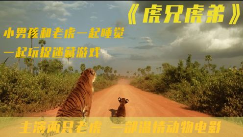 主演两只老虎，男孩养虎当宠物，还一起睡觉，一部温情动物电影。