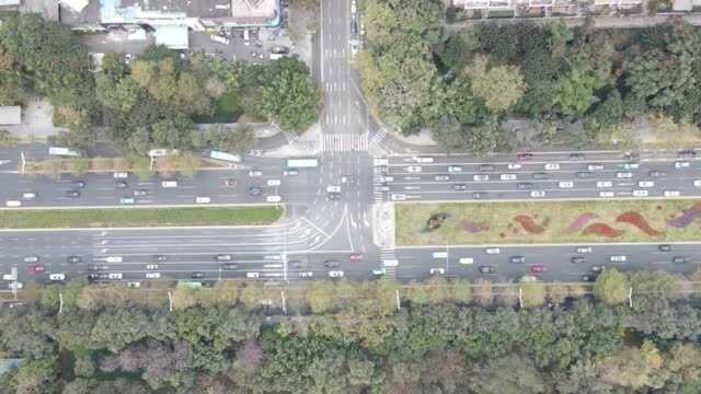 即日起,深南香梅路口正式实施“反转通行”措施