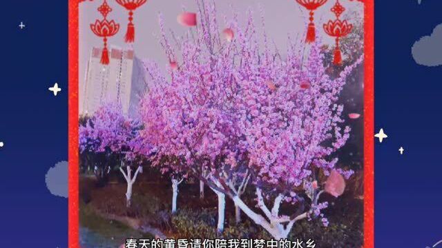 靓丽花朵 香味扑鼻 使人陶醉 暖情舒夜 我们一起春光美