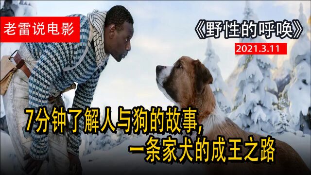 7分钟了解人与狗的故事,一条家犬的成王之路