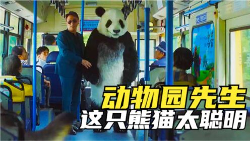 车祸后竟能听懂动物说话？带你看懂韩国搞笑喜剧片《动物园先生》