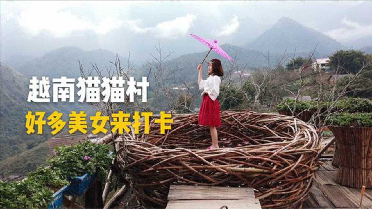 探访越南沙巴猫猫村,不一样的越南农村,吸引好多美女拍照打卡