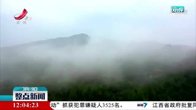 万年县:田间“稻草人” 吸引众游客