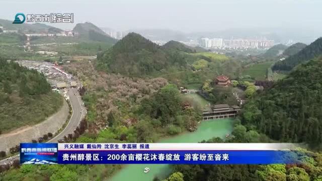 贵州醇景区:200余亩樱花沐春绽放 游客纷至沓来