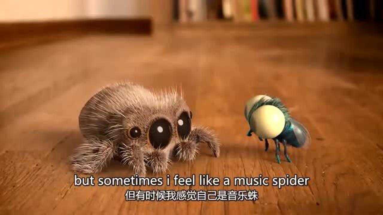 这只世界上最可爱的小蜘蛛这次lucas为你带来了以往唱过歌曲的合集这