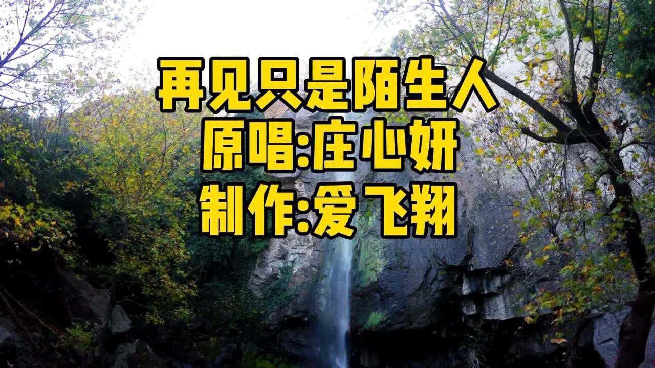 庄心妍一首再见只是陌生人经典老歌好听极了