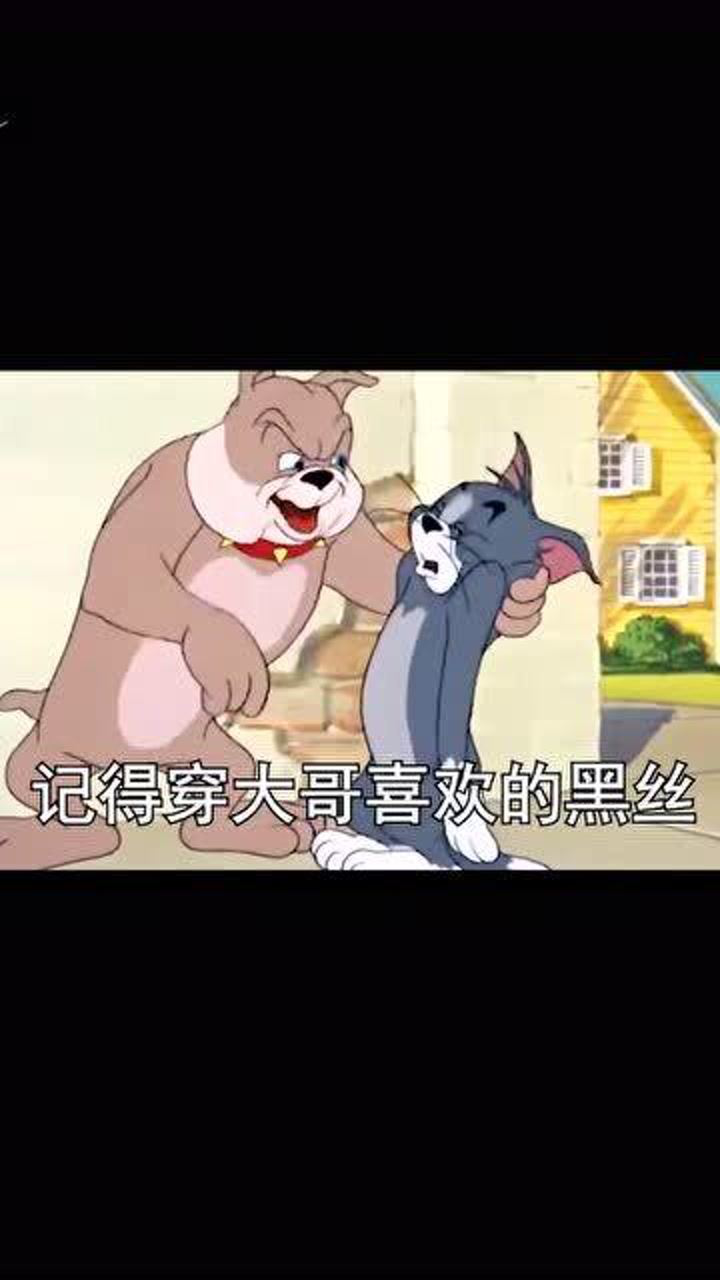 猪猪表情包:今晚通知你出来吃个饭,记得穿大哥喜欢的黑丝_腾讯视频