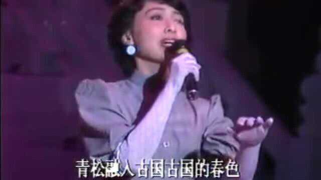 1985年春晚:董岱《长城脚下一朵小花》《年景》