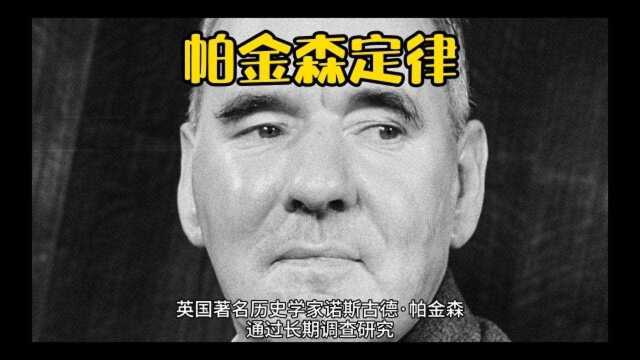 帕金森定律:如何洞见官僚体系,臃肿组织给发展带来的阻力,老板一定要看