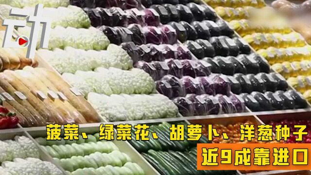 中国蔬菜种子自给率已达87%:菠菜等4种子仍需高度进口