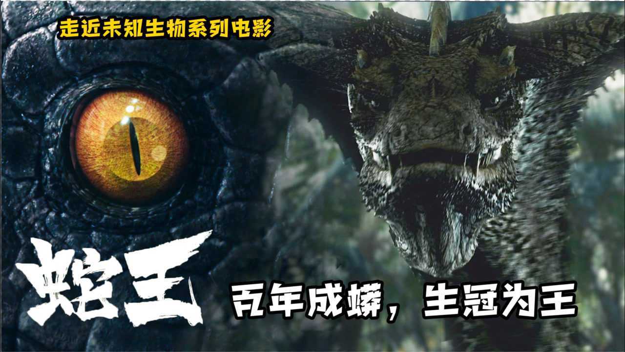 走近科学系列电影之蛇王2021千年大蛇化龙惊悚升级
