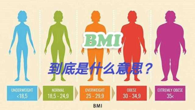 BMI到底是什么意思?