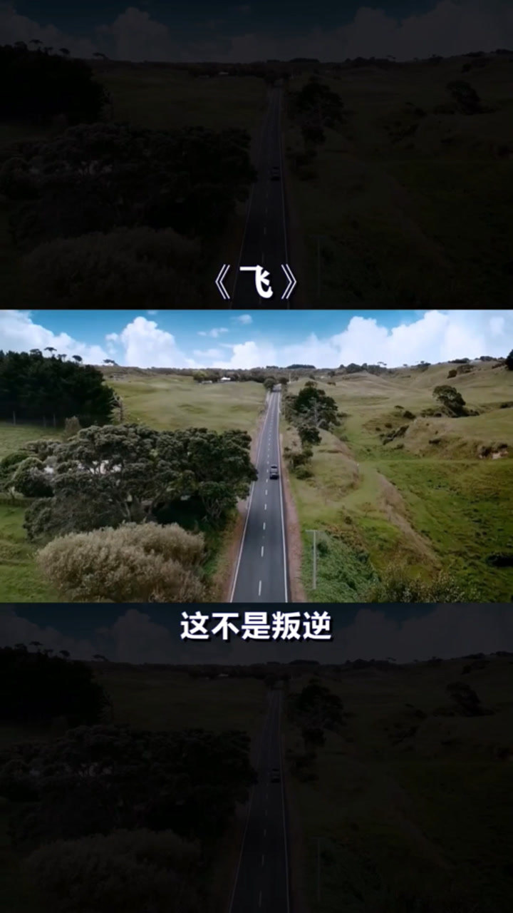 飞大神慧这是我听过最好的翻唱版本