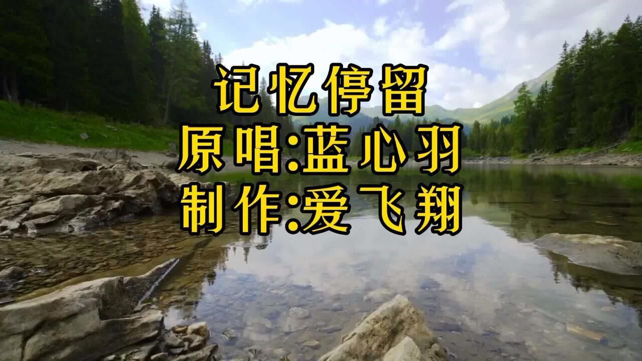 蓝心羽一首记忆停留记忆好像过了很久好像从没为我停留