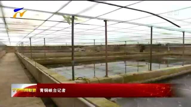 青铜峡市多措并举推动现代化渔业产业高质量发展