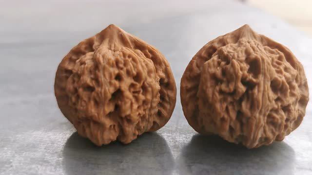 麻核桃,野生秤砣这个品种不好嫁接,嫁接花皮,黄尖较多