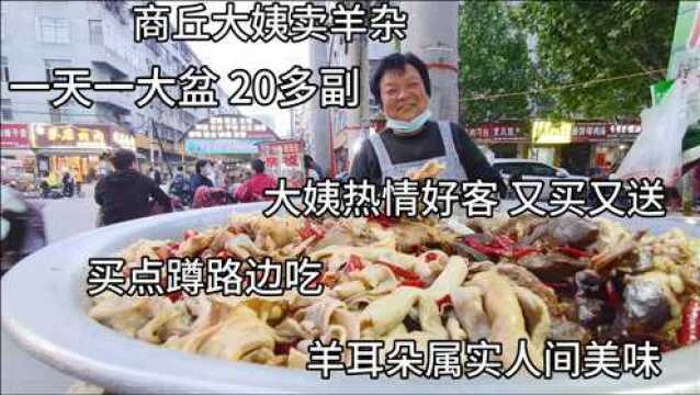 河南永城大姨卖羊杂,一锅能卤20只羊,羊肠卖28一斤,吃着真带劲