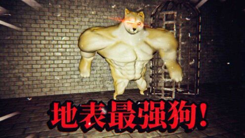 奇葩游戏:怎么会有这么强壮的狗?浑身都是肌肉的狗太可怕了!薄海纸鱼_高清1080P在线观看平台_腾讯视频