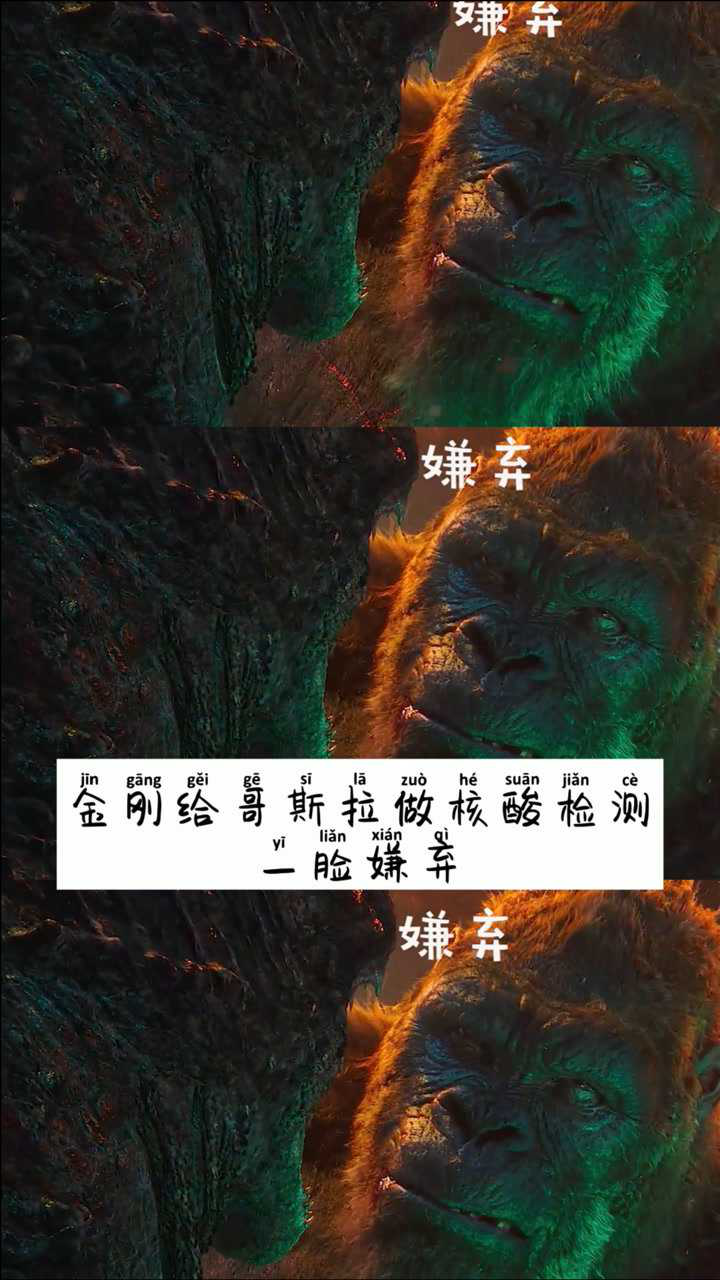 两度给哥斯拉做核酸检测谁说外国防疫差金刚这嘴滂臭