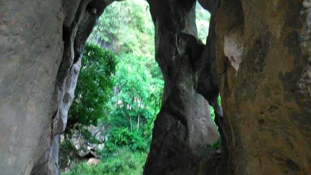 野生的山洞就像迷宫一样.到处都是洞口.