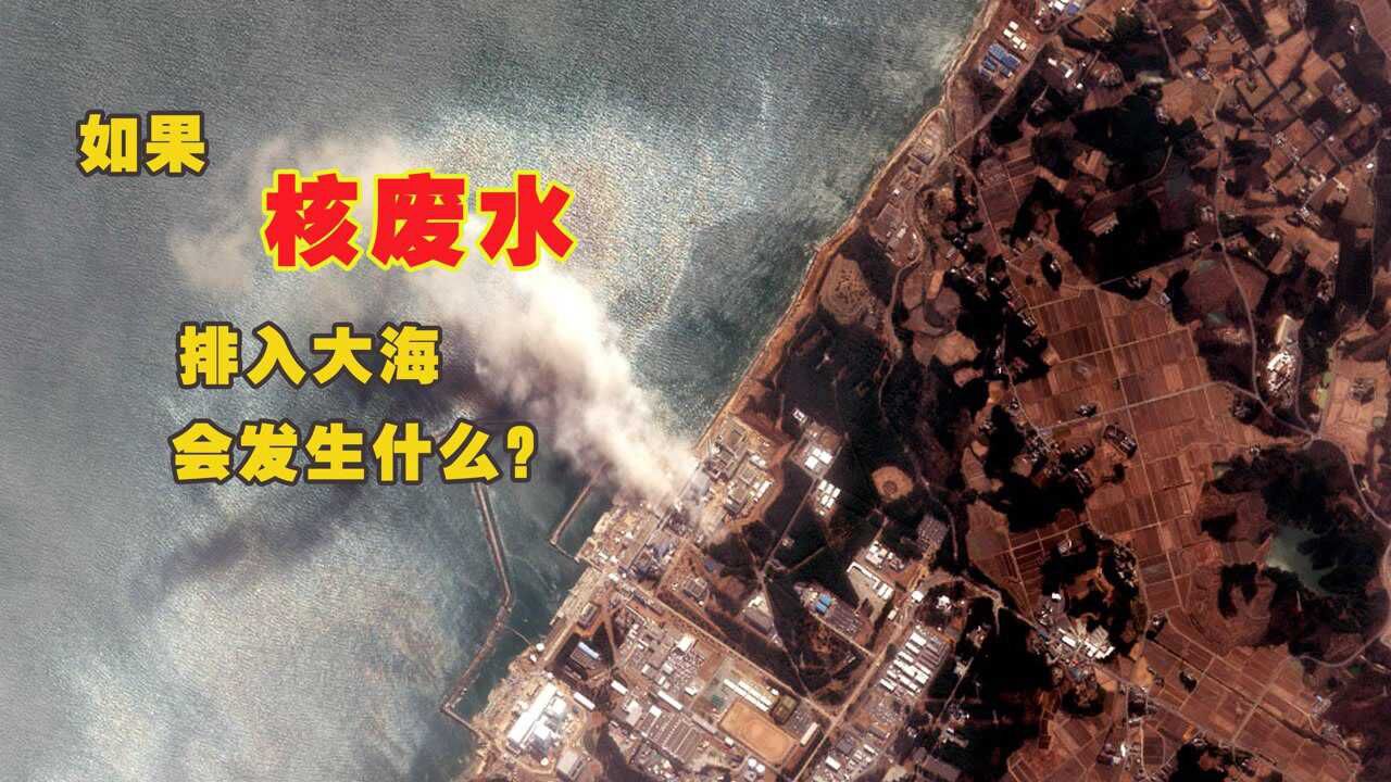 如果将核废水排入大海会发生什么