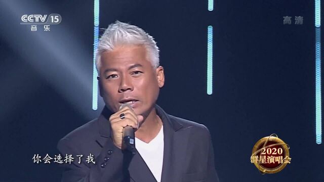 歌曲《太傻》 演唱:巫启贤