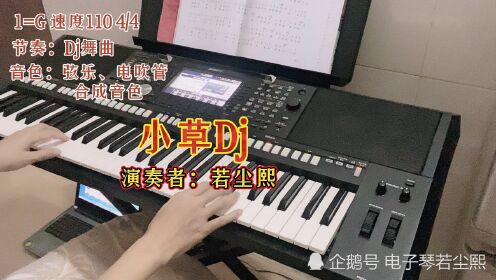 [图]电子琴演奏《小草》Dj版，歌剧《芳草心》主题曲