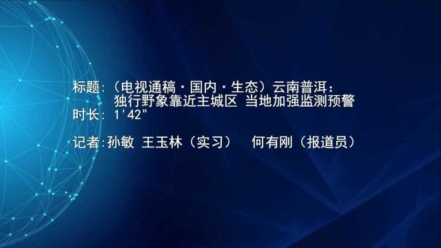 (电视通稿ⷥ›𝥆…ⷧ”Ÿ态)云南普洱:独行野象靠近主城区 当地加强监测预警