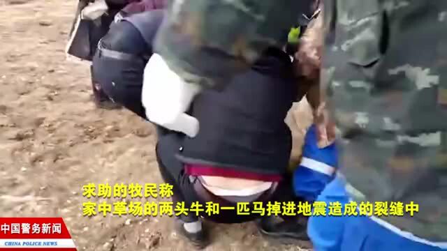 紧急营救!青海民警与牧民合力救出因地震掉进裂缝的牛和马