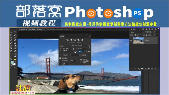 ps仿制图章应用视频:使用仿制图章复制图案方法编辑仿制源参数