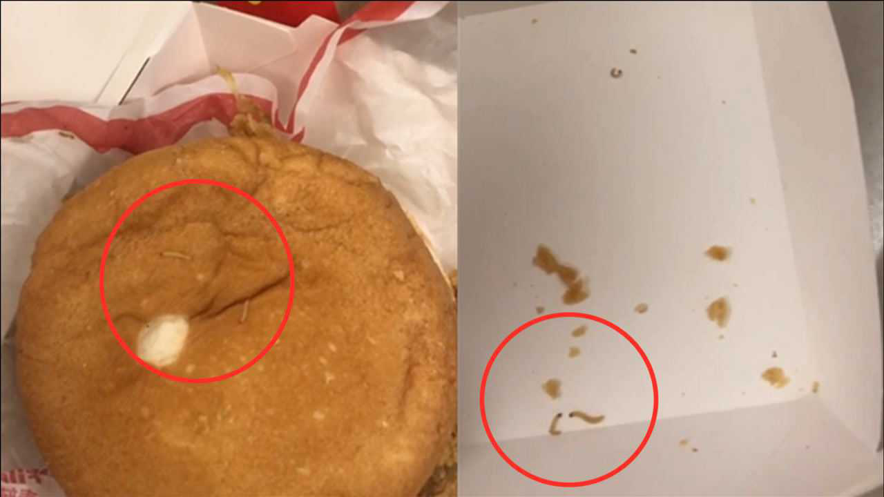 Pregnant woman finds maggots at bottom of her McDonald's soda