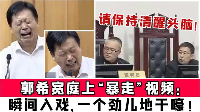 郭希宽庭上“暴走”视频:瞬间入戏,一个劲儿地干嚎!法官:保持清醒头脑