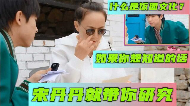 什么是饭圈文化?如果你想知道的话,宋丹丹就带你研究